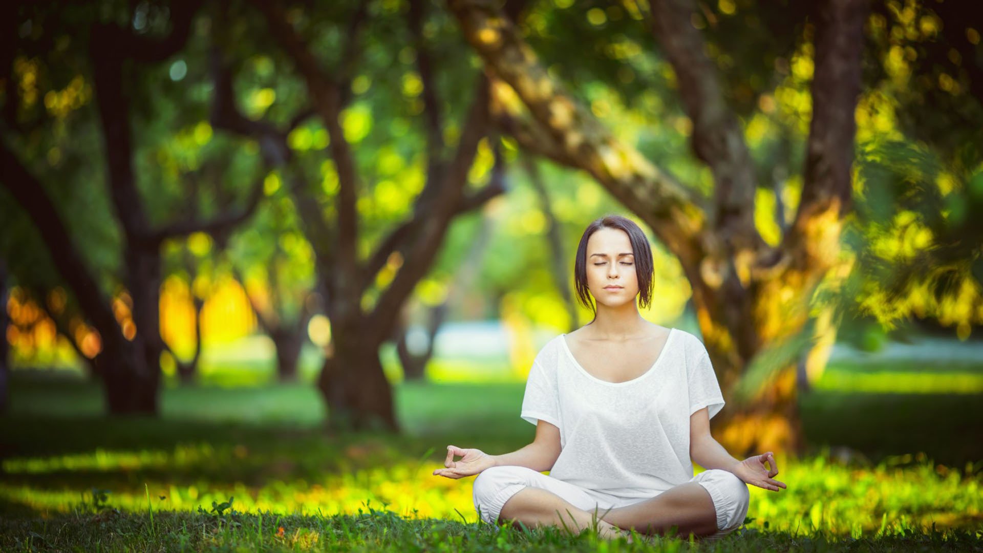王者荣耀选手个人品牌：如何提升选手的影响力与商业价值，王者荣耀选手人气排行